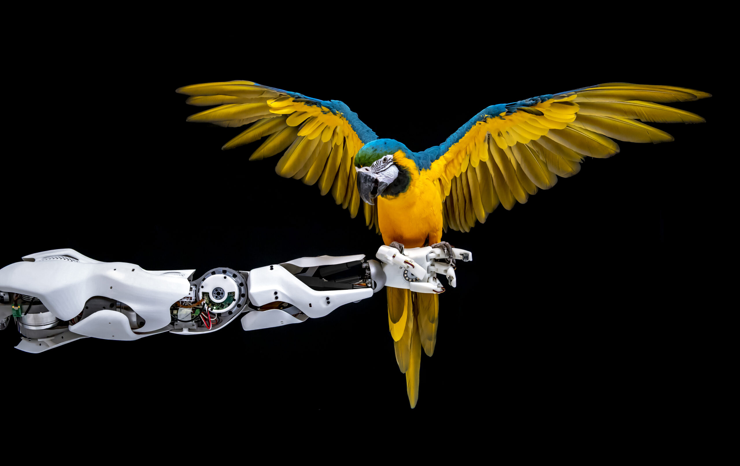 HIRO Robot with Parrot